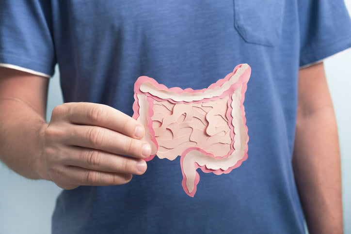 The Journey of Your Gut Health Test