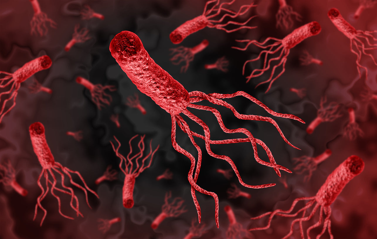 Think You Have H. pylori? Here’s How to Get a Hassle-Free Diagnosis