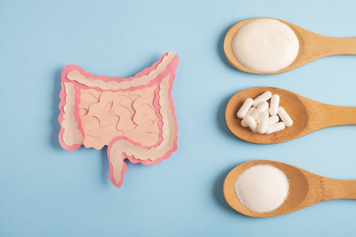 Understanding Your Gut Health Results